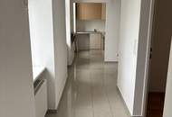 3 Zimmer Altbau am Paulusplatz Grünblick
