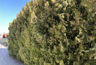 Grundstück in Hohenau