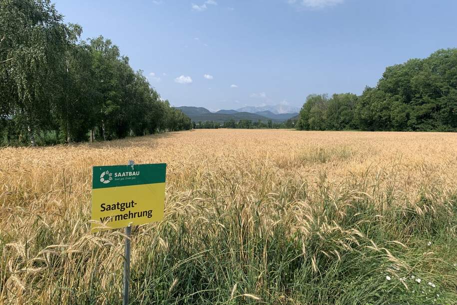 AGRAR LANDWIRTSCHAFT mit fruchtbarem Boden in guter Lage +++ Anschlüsse vorhanden, Grund und Boden-kauf, 2732 Neunkirchen