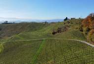 IN SLOWENIEN - Weingut in spektakulärer Alleinlage mit traumhafter Aussicht!