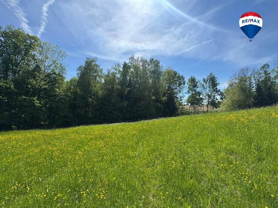 Attraktives Baugrundstück in idyllischer Waldrandlage | Am Sommerberg, Aschach an der Donau | Ohne Bauzwang
