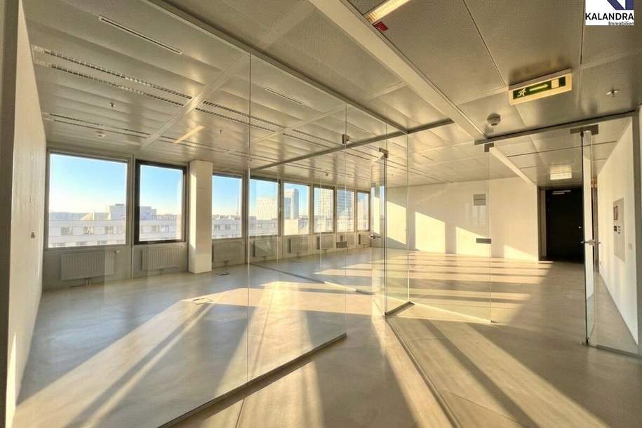 360 TOUR // BÜROFLÄCHE im ARES TOWER, Gewerbeobjekt-miete, 14.540,23,€, 1220 Wien 22., Donaustadt