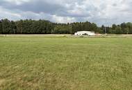 Sanierungsbedürftiges ehemaliges Bauernsacherl mit 5.200 m² Grünland
