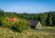 Landhaus mit Scheibengrundstück 23 Minuten vor Graz!