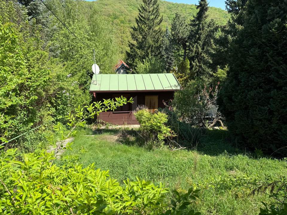 TOLLE FLÄCHE AM WOLFERSBERG MIT KLEINEM FERIENHAUS
