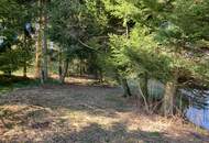 Landschaftsteich mit kleinem Waldanteil (Provisionsfrei)