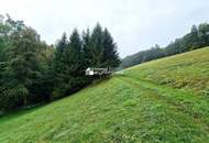 Abgeschotteter Bungalow mit großem Grund in malerischem Michelbach - sanierungsbedürftig, Garage, große Einfahrt &amp; herrlicher Grünblick