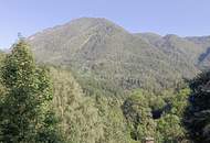Ihr Grundstück in Hanglage mit absolutem Grünblick
