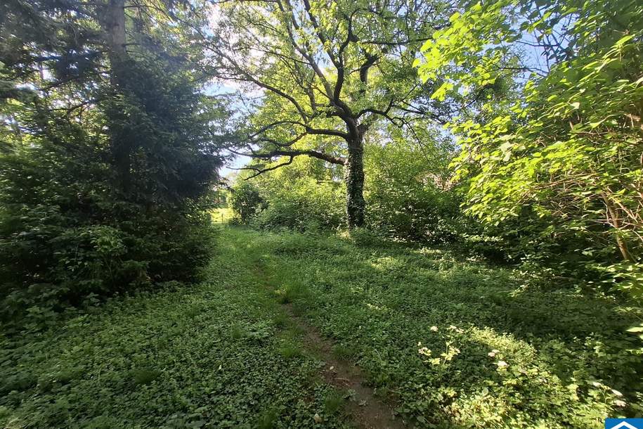 Großzügiges Grundstück mit Altbestand in begehrter Lage von Maria Enzersdorf, Grund und Boden-kauf, 850.000,€, 2344 Mödling