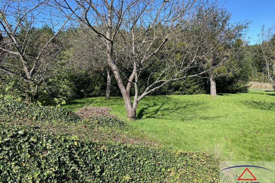 Tolles Grundstück mit kleinem Haus!, Grund und Boden-kauf, 89.000,€, 8292 Hartberg-Fürstenfeld