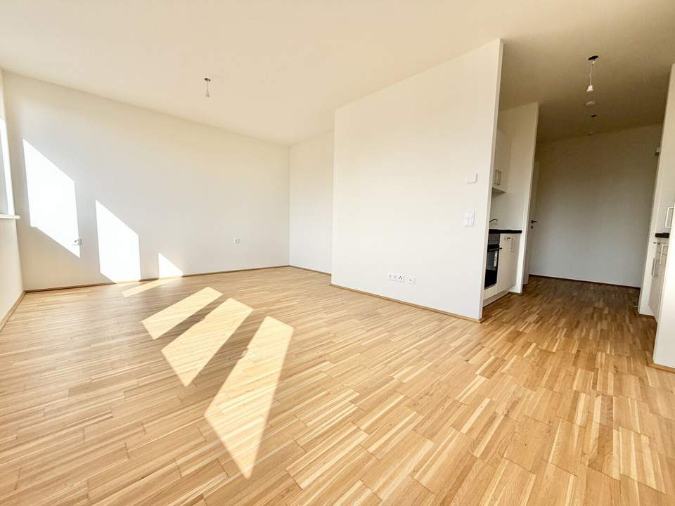 MODERNE ERSTBEZUGSWOHNUNG AKTION 1. MONAT MIETZINSFREI - Ein ZIMMER Wohnung ab Sofort verfügbar