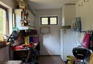 Wunderbares Blockhaus in schönster Grünruhelage! Ab sofort verfügbar!