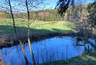Landschaftsteich mit kleinem Waldanteil (Provisionsfrei)