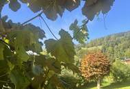 Hochwertige Gartenwohnung