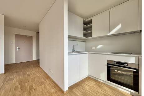ERSTBEZUG. ERSTKLASSIG. Außenflächen mit direktem Blick auf den Kahlenberg | vollausgestattete Küchen | Fußbodenheizung und Fußbodenkühlung, Wohnung-miete, 950,00,€, 1210 Wien 22., Donaustadt