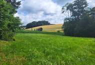 Idylle PUR! Kein Trubel - nur NATUR!