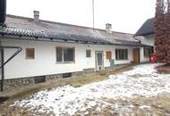 2014 Puch - Bauernhof für Wohnen und Gewerbe - 30 min von Wien !