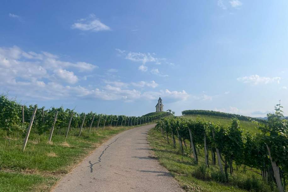 Einzigartige Landwirtschaft mit Weingärten in Alleinlage und atemberaubender Aussicht - Leutschach an der Weinstraße, Gewerbeobjekt-kauf, 1.421.400,€, 8463 Leibnitz