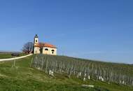 IN SLOWENIEN! Winzerhaus mit Weingarten und Blick bis zum Horizont!
