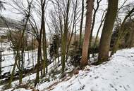 Waldgrundstück Teil 7