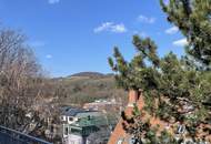 PENTHOUSE LIVING - FIXPREIS - ATEMBERAUBENDER WIENBLICK - 3 RIESEN TERRASSEN - ERSTBEZUG!