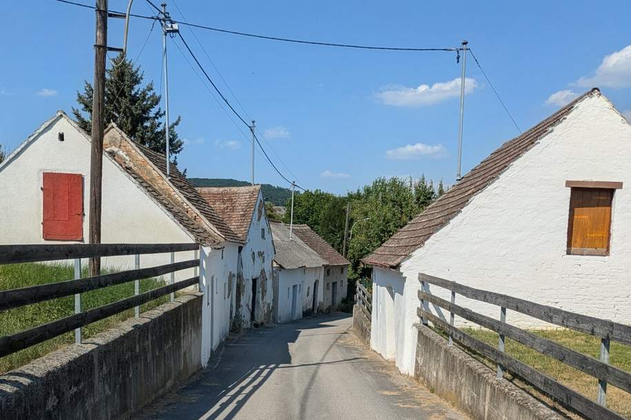 Traditionelles Presshaus mit Gewölbe-Weinkeller und Grundstück, Gewerbeobjekt-kauf, 7.500,€, 2126 Mistelbach