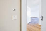 Blick zum Stephansdom!