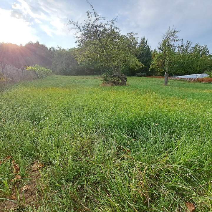 Aufgeschlossen und kein Bauzwang-Ein guter Grund weiterzulesen....