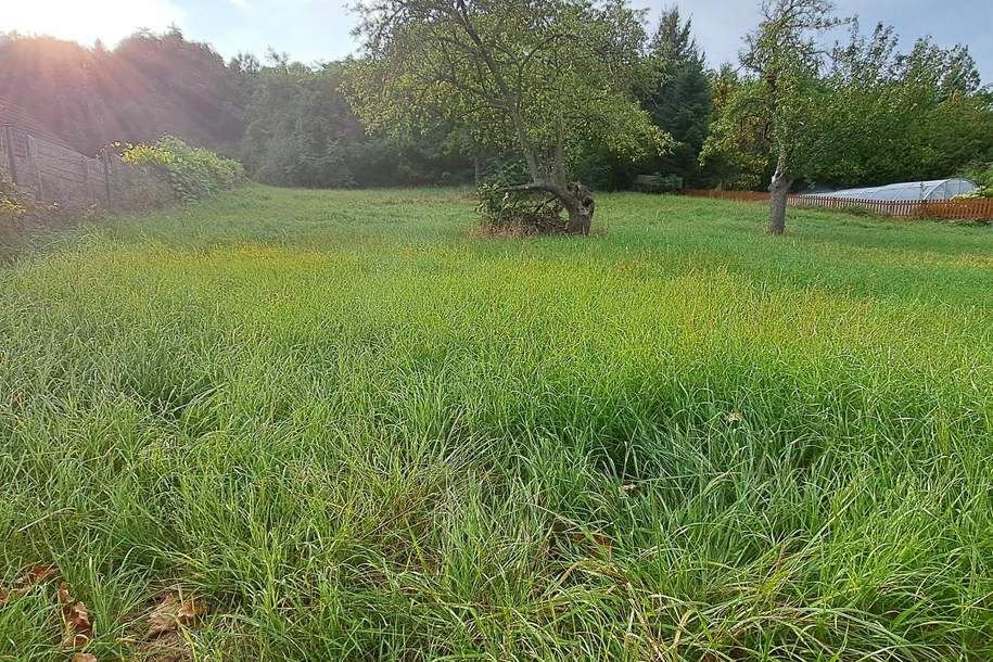 Aufgeschlossen und kein Bauzwang-Ein guter Grund weiterzulesen...., Grund und Boden-kauf, 229.000,€, 3100 Sankt Pölten(Stadt)