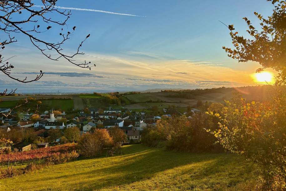 Ihr neues Zuhause im Grünen - Einfamilienhaus mit viel Platz im Freien!, Haus-kauf, 399.000,€, 2120 Mistelbach