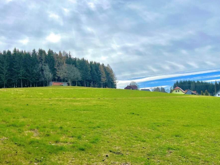 Baugrundstück für Bauträger im Ausmaß von 5.696 m² mit Almcharakter