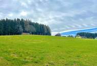 Baugrundstück für Bauträger im Ausmaß von 5.696 m² mit Almcharakter