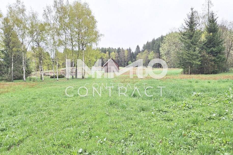 Großes Grundstück mit Fischteich und Badeteich, Erholungsanlage, Freizeitparadies mit viel Potenzial, Grund und Boden-kauf, 280.000,€, 3632 Zwettl