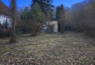 "Rarität in Mauerbach"