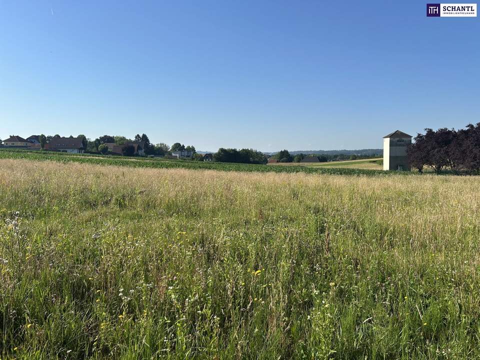 Baugrundstück Einreichplan & Traumaussicht bis Kärnten - in 8501 Lieboch!