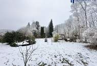 Bungalow mit direktem Zugang zum Wienerwald – Ruhe, Komfort und Natur nur 20 Minuten von Wien entfernt