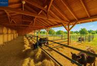 Einzigartiges Landgut im Waldviertel – 70.010 m² mit Wohnhaus, Ferienwohnungen &amp; Alpaka/Yak-Zucht