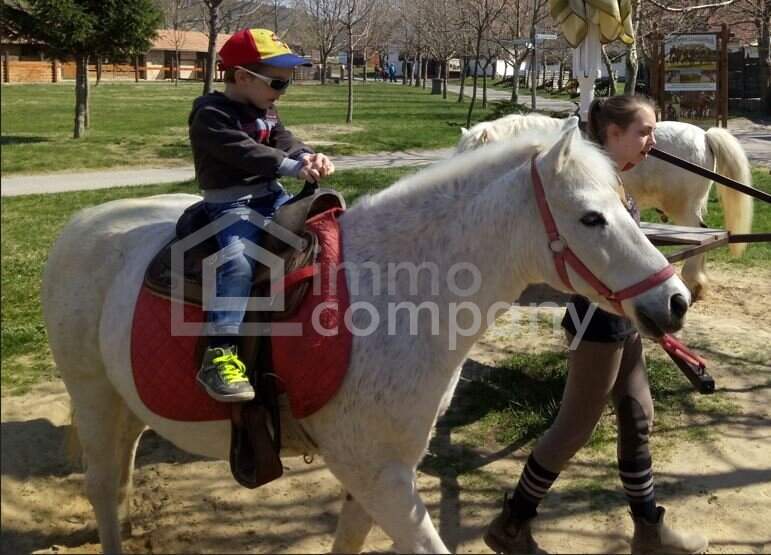 Traumhafter Grund mit Teilwidmung Reitplatz/Reitanlage - 7250 m² um nur 80.000 €!