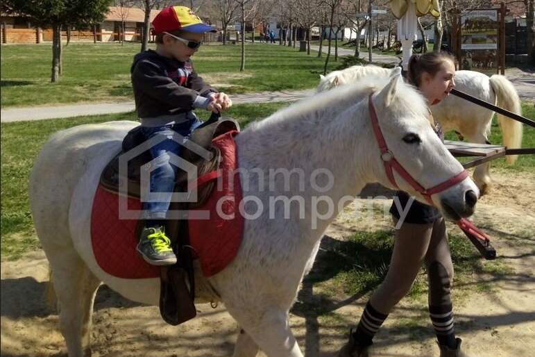 Traumhafter Grund mit Teilwidmung Reitplatz/Reitanlage - 7250 m² um nur 80.000 €!, Grund und Boden-kauf, 80.000,€, 7321 Oberpullendorf