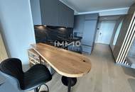 Möbliertes Apartment im 42. Stock mit Weitblick auf die Donau! Pool, Spa und Fitness inklusive!