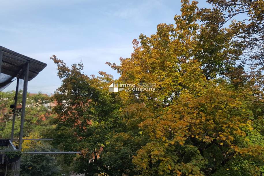 Charmante Mietwohnung in Graz-Lend mit Balkon und Ruhelage!, Wohnung-miete, 750,89,€, 8020 Graz(Stadt)