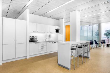 Flexible Arbeitsplätze in Regus Twin Towers, Gewerbeobjekt-miete, 1100 Wien 10., Favoriten