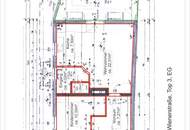 Gartenwohnung in Traiskirchen (momentan noch befristet vermietet)