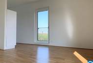 Toller unverbauter Grünblick in den Prater