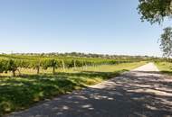 BAULAND in Neusiedl am See – Wohnen im Grünen mit bester Lebensqualität