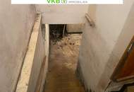 Naturnah & ruhig: Grundstück mit Altbestand in Spattendorf - Gemeinde Alberndorf in der Riedmark (GST 2438/1)