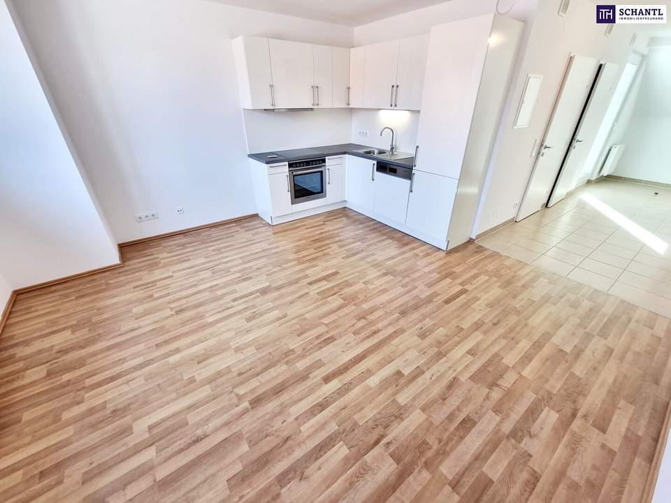 Reduzierter Preis! Charmante DG-Maisonettewohnung mit 2,5 Zimmer und Terrasse + Ideale Infrastruktur + Wunderschön saniertes Altbauhaus! Jetzt zugreifen!