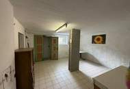 Einfamilienhaus in zentraler, ruhiger Siedlungslage in Hartberg – großer ebener Garten & Nebengebäude