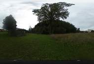 Sanierungsbedürftiger Bungalow mit großem Grundstück - in ruhiger, sonniger Lage