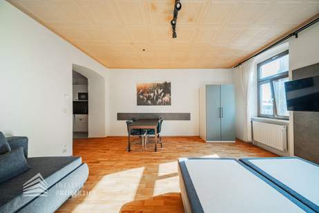 Möblierte Garconniere, Nähe Ottakring, Wohnung-kauf, 165.000,€, 1160 Wien 16., Ottakring
